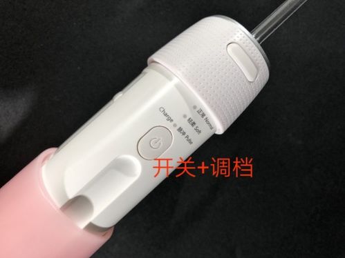 深度測評！潔碧、松下、羅曼、歌嵐四大便攜式沖牙器，哪款更值得買？